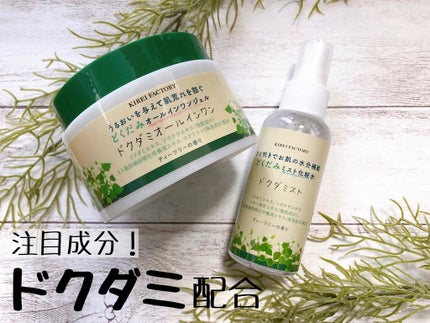 どくだみオールインワンジェル/KIREI FACTORY/オールインワン化粧品を使ったクチコミ(1枚目)