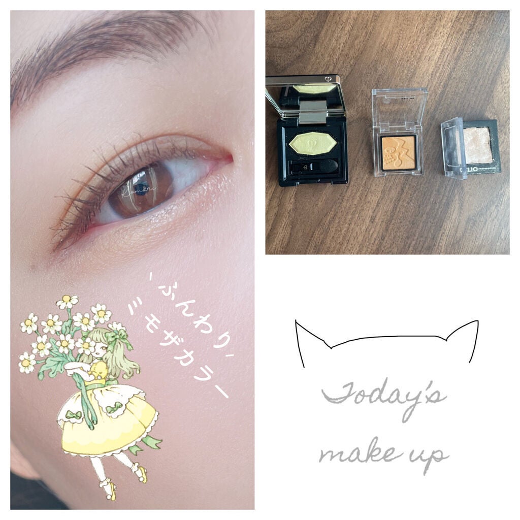 プロ シングル シャドウ/CLIO/単色アイシャドウを使ったクチコミ(1枚目)