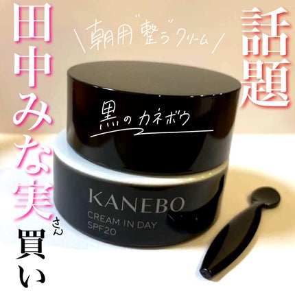 クリーム イン デイ/KANEBO/フェイスクリームを使ったクチコミ(1枚目)