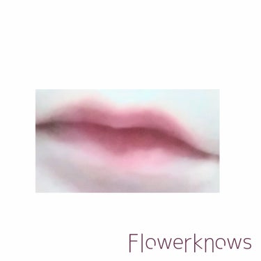 リトルエンジェルフェザーマットリップ/FlowerKnows/口紅を使ったクチコミ（5枚目）