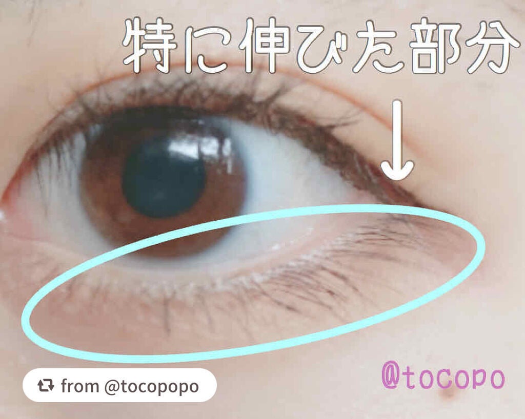 スカルプD ボーテ ピュアフリーアイラッシュセラム プレミアム/アンファー(スカルプD)/まつげ美容液を使ったクチコミ(2枚目)