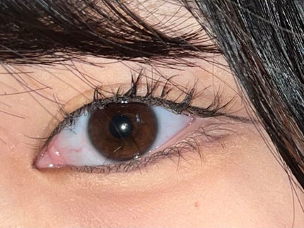 ラッシュエキスパンダー ロングロングロング/MAJOLICA MAJORCA/マスカラを使ったクチコミ(1枚目)