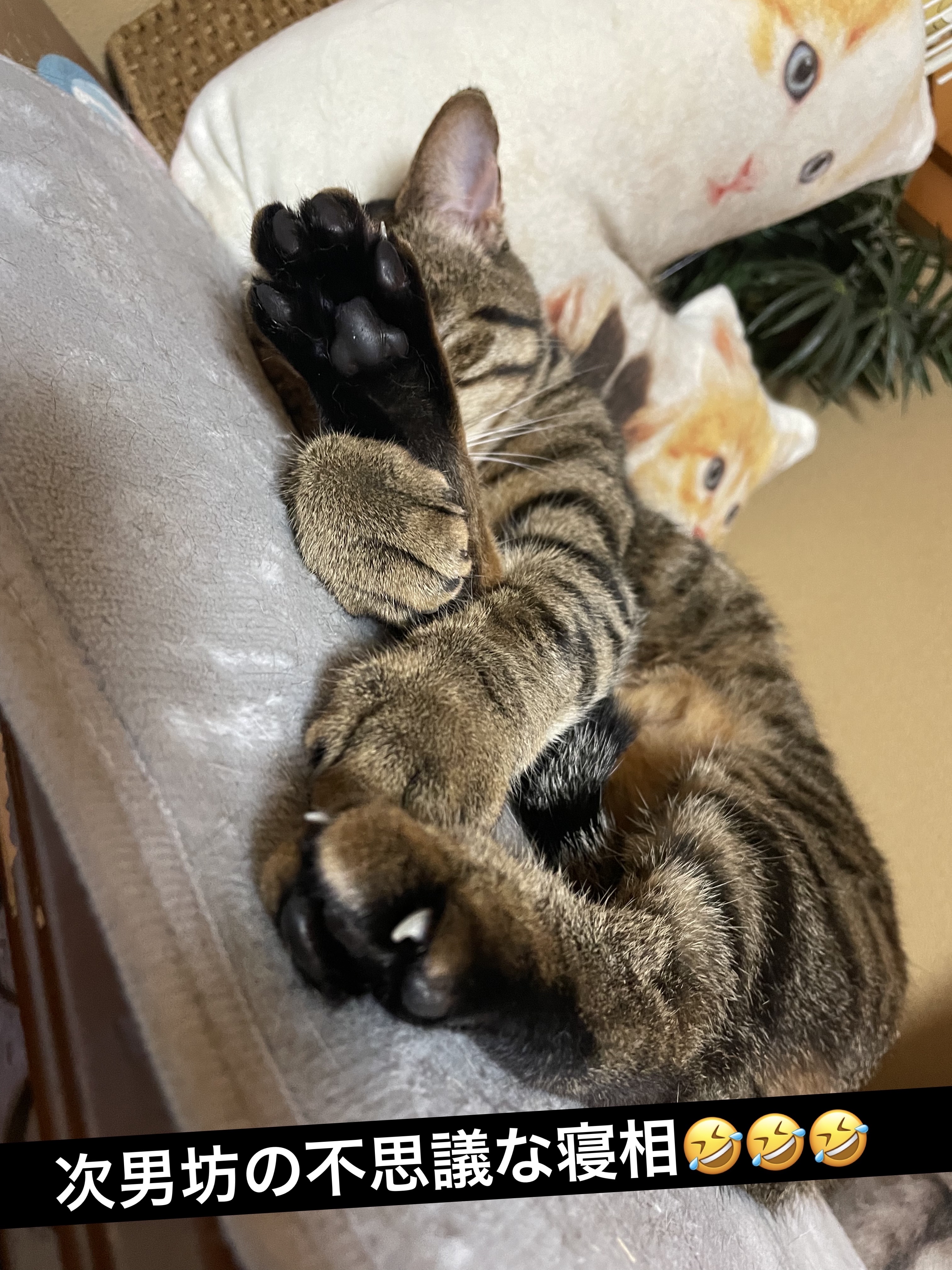 ジューシーラスティングティント/rom&nd/リップティントを使ったクチコミ（2枚目）