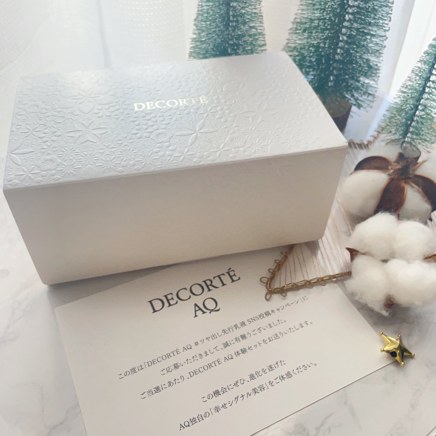 AQ クリーム/DECORTÉ/フェイスクリームを使ったクチコミ(10枚目)