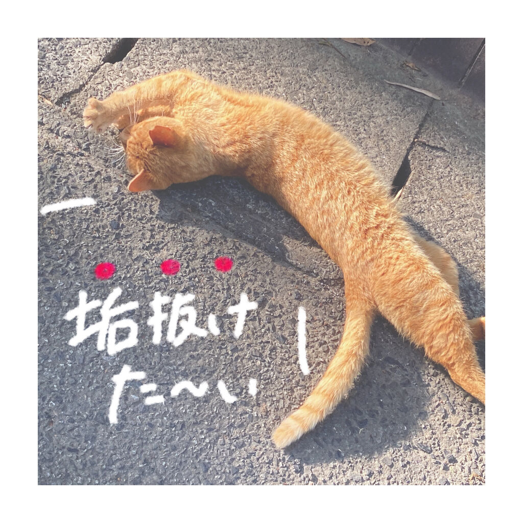 CICA クリーム/VT/フェイスクリームを使ったクチコミ（1枚目）