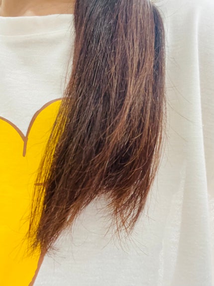 トリートメントリペアミルク/ディアボーテ/ヘアミルクを使ったクチコミ(4枚目)