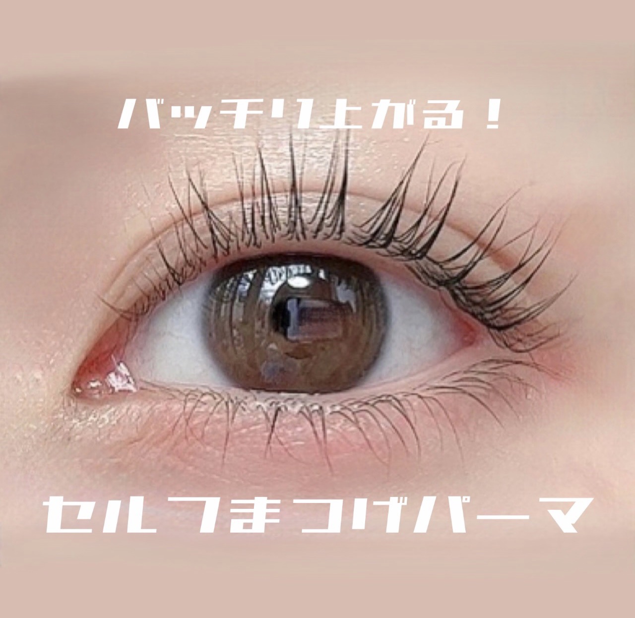 EYE2IN 低刺激 セルフプロ用 まつげパーマ 3種 セット/Qoo10/その他キットセットを使ったクチコミ（1枚目）