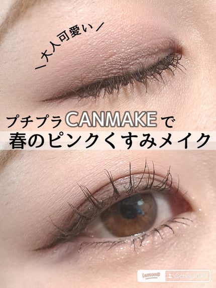 シルキースフレアイズ(マットタイプ)/キャンメイク/アイシャドウパレットを使ったクチコミ(1枚目)
