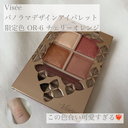 パノラマデザイン アイパレット/Visée/アイシャドウパレットを使ったクチコミ(1枚目)
