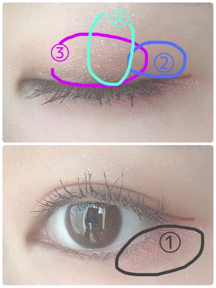 プロ アイ パレット/CLIO/アイシャドウパレットを使ったクチコミ(3枚目)