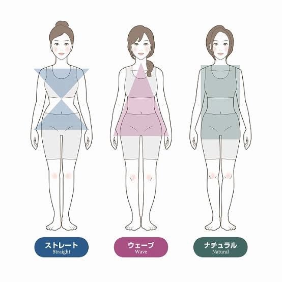 みん on LIPS 「✐☡⋆*骨格ストレート徹底研究⭐️骨ストの芸能人・こじはる・深..」(1枚目)