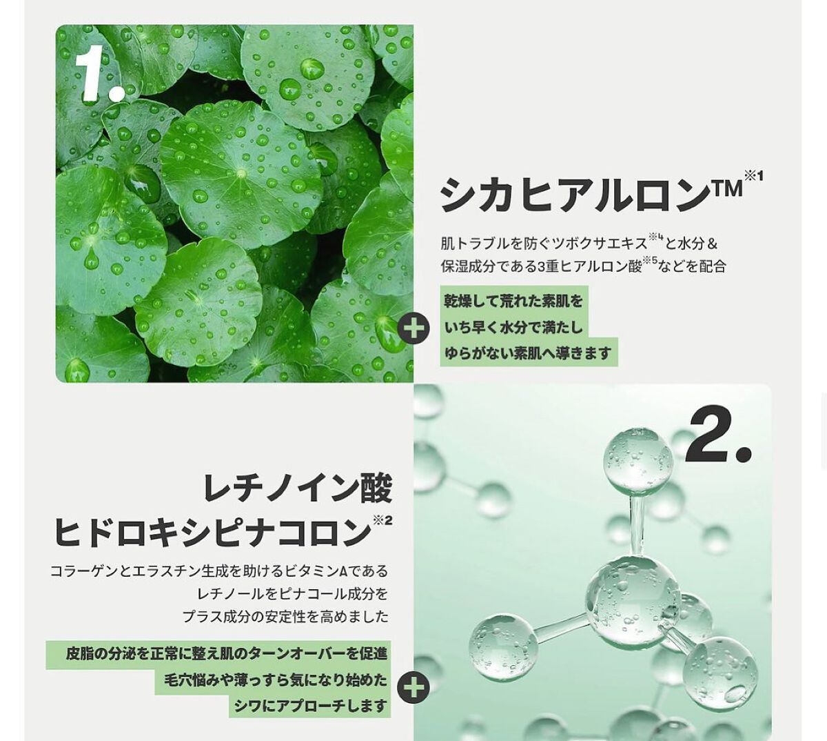 シカレチA エッセンス0.1/VT/美容液を使ったクチコミ(4枚目)