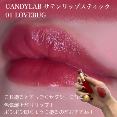 RAREKIND オーバスマッジリップティントのクチコミ「ブルベさんにおすすめしたい韓国リップ〜後編〜


①CANDYLAB サテンリップスティック .....」（2枚目）