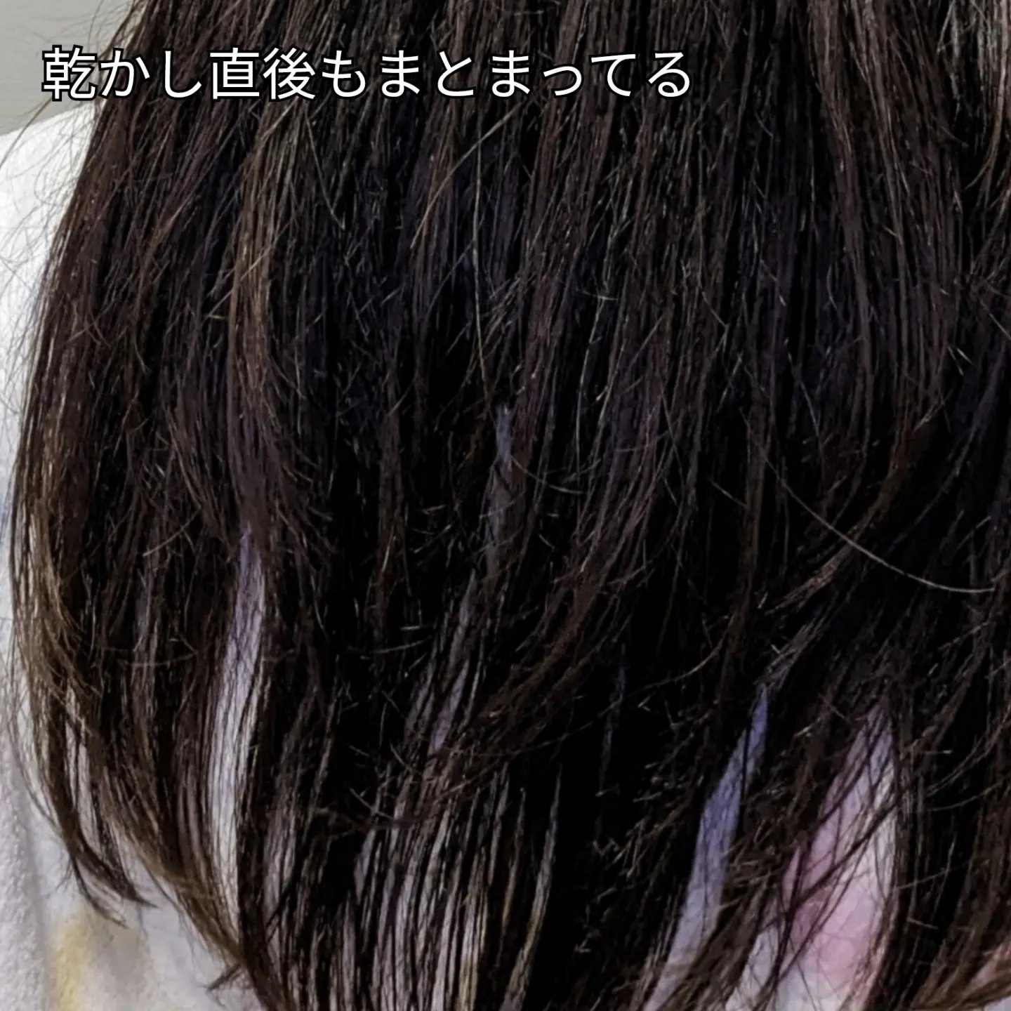 センシティブ シャンプー / トリートメント ダマスクローズ/ミルクバオバブ/市販シャンプーを使ったクチコミ（3枚目）