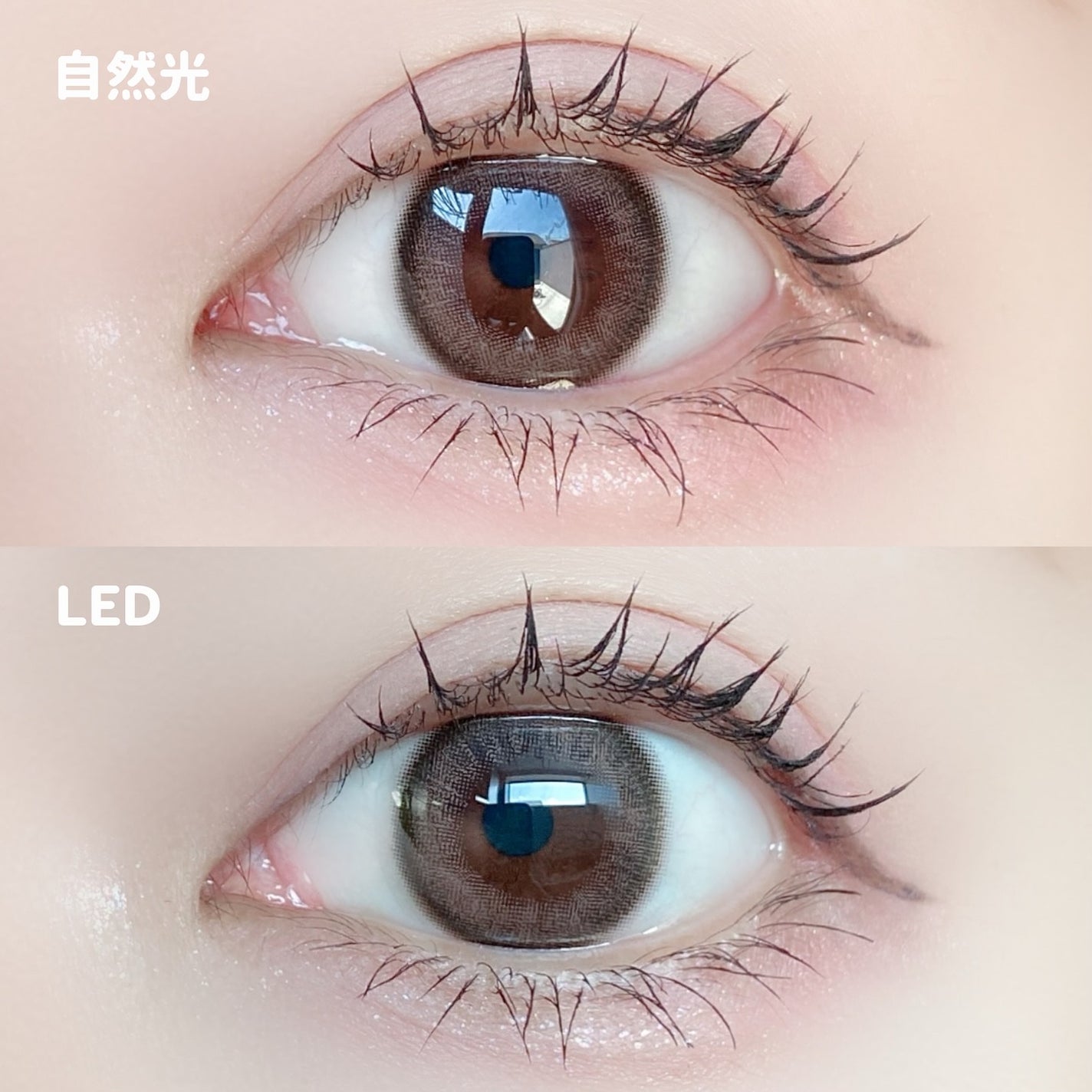 エバーカラーワンデーナチュラル モイストレーベルUV/エバーカラー/ワンデー(1DAY)カラコンを使ったクチコミ(5枚目)