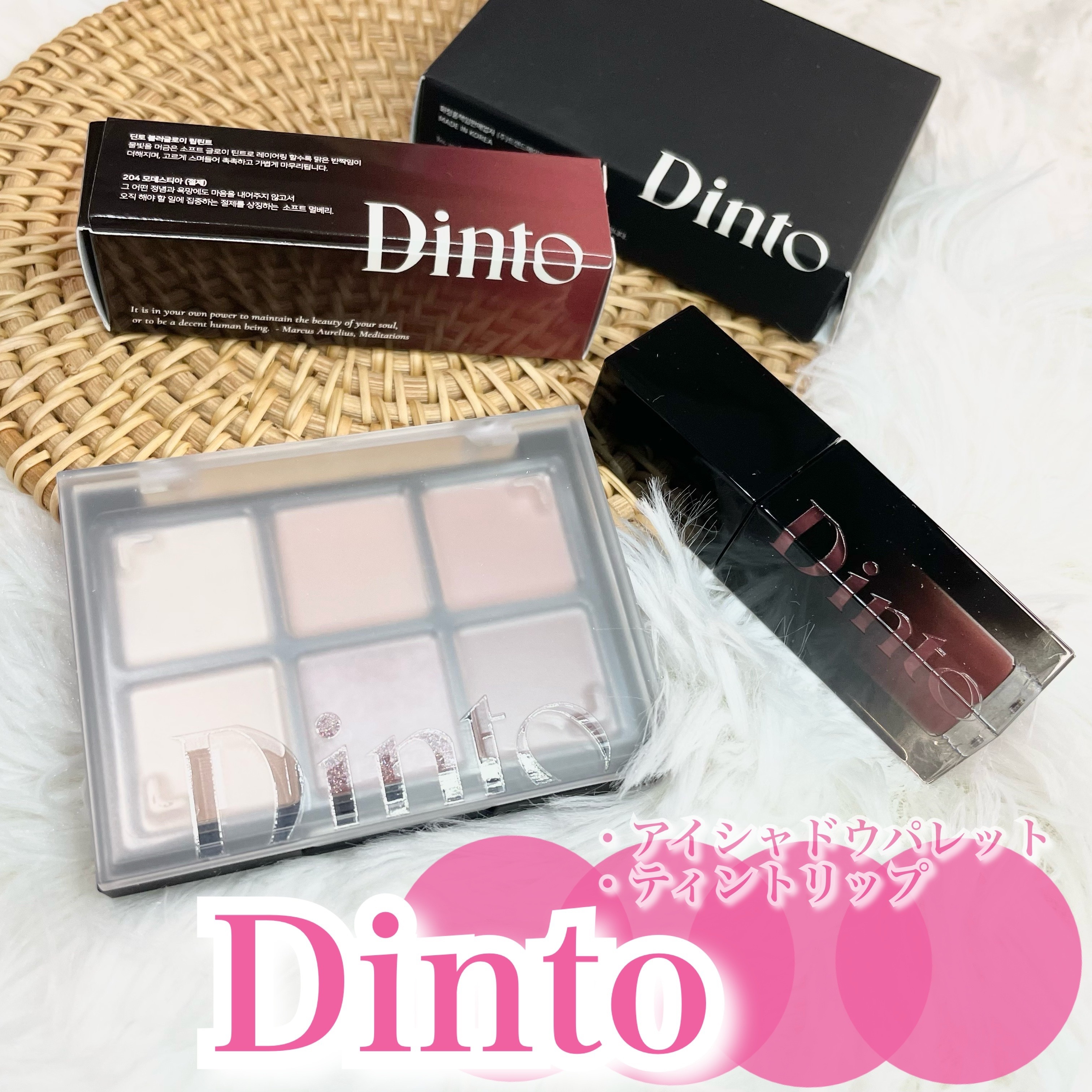 ブラーフィニシュシャドウパレット/Dinto/アイシャドウパレットを使ったクチコミ（1枚目）