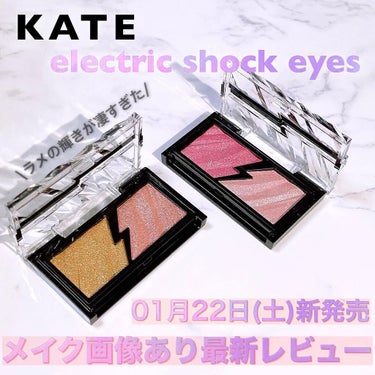 エレクトリックショックアイズ /KATE/アイシャドウパレットを使ったクチコミ（1枚目）