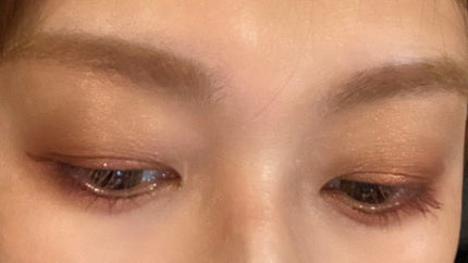 ラズル アイカラー 04 Red sand/エレガンス ラズル /単色アイシャドウを使ったクチコミ(3枚目)