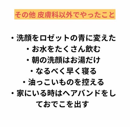 ワンワン on LIPS 「こんにちは。中の人です。現在高校3年生です。よろしくお願い致し..」(4枚目)