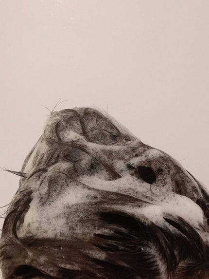 スパ・シャンプー/ヘアトリートメント モイスチャー/Off&Relax/市販シャンプーを使ったクチコミ(3枚目)