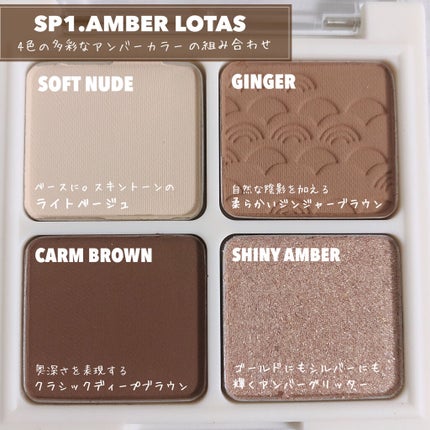 ザ ヘリテージ シャドウパレット/MERZY/アイシャドウパレットを使ったクチコミ(3枚目)