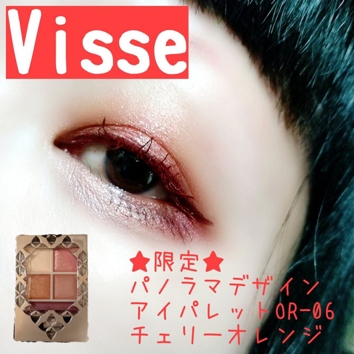 パノラマデザイン アイパレット/Visée/アイシャドウパレットを使ったクチコミ（1枚目）