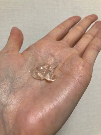 CDB ロイーシェ ボディオイルクリーム ホワイトローズ/Roiche/ボディクリームを使ったクチコミ(6枚目)