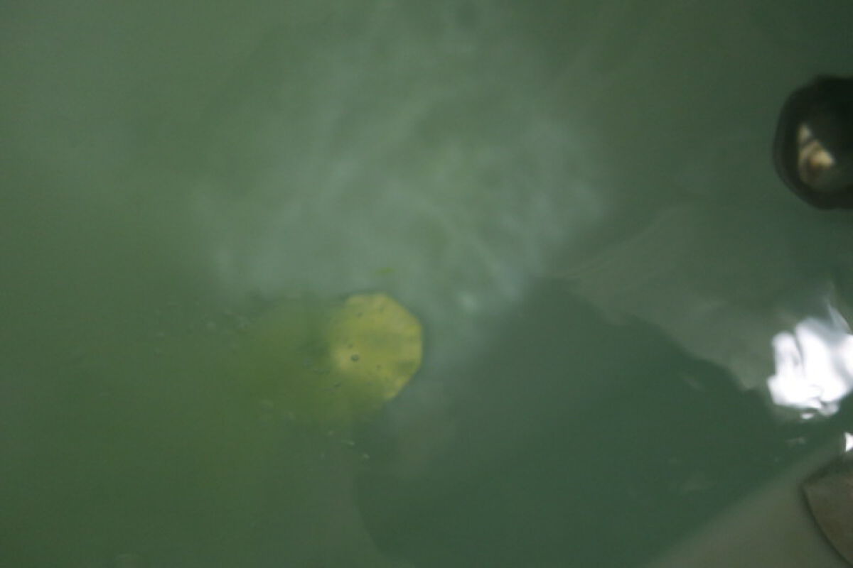 モンスターバブル かろやかDAYS /バブ/炭酸系入浴剤を使ったクチコミ(3枚目)