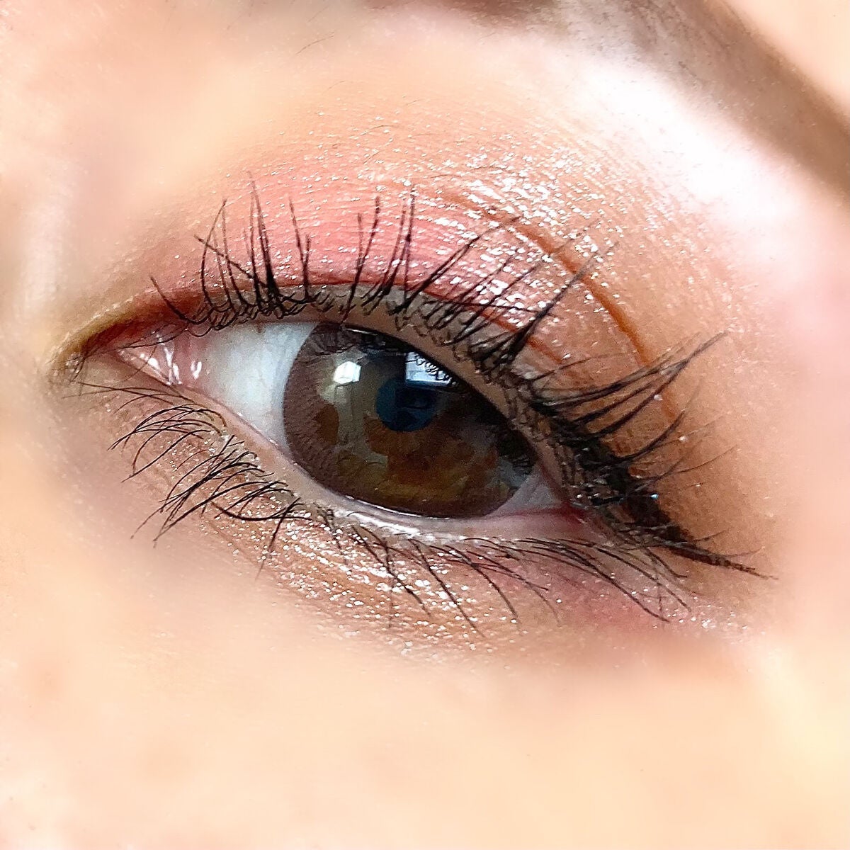 アニマルアイシャドウ(4シェード)/ZEESEA/アイシャドウパレットを使ったクチコミ(4枚目)