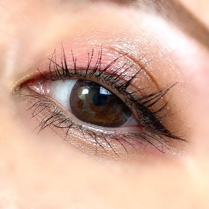 アニマルアイシャドウ(4シェード)/ZEESEA/アイシャドウパレットを使ったクチコミ(4枚目)