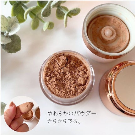 ホープガール3Dパウダーブラッシャー/Hope Girl/パウダーチークを使ったクチコミ(5枚目)