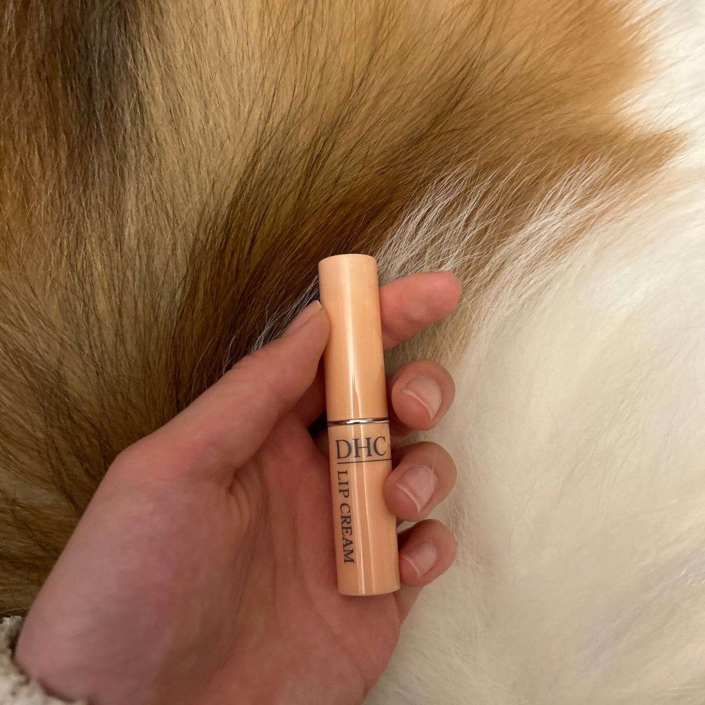 DHC 薬用リップクリーム/DHC/リップクリームを使ったクチコミ(1枚目)