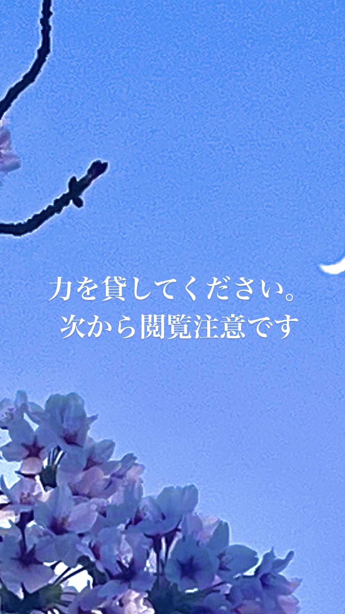 潤浸保湿 乳液/キュレル/乳液を使ったクチコミ（1枚目）