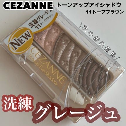 トーンアップアイシャドウ/CEZANNE/アイシャドウパレットを使ったクチコミ(1枚目)