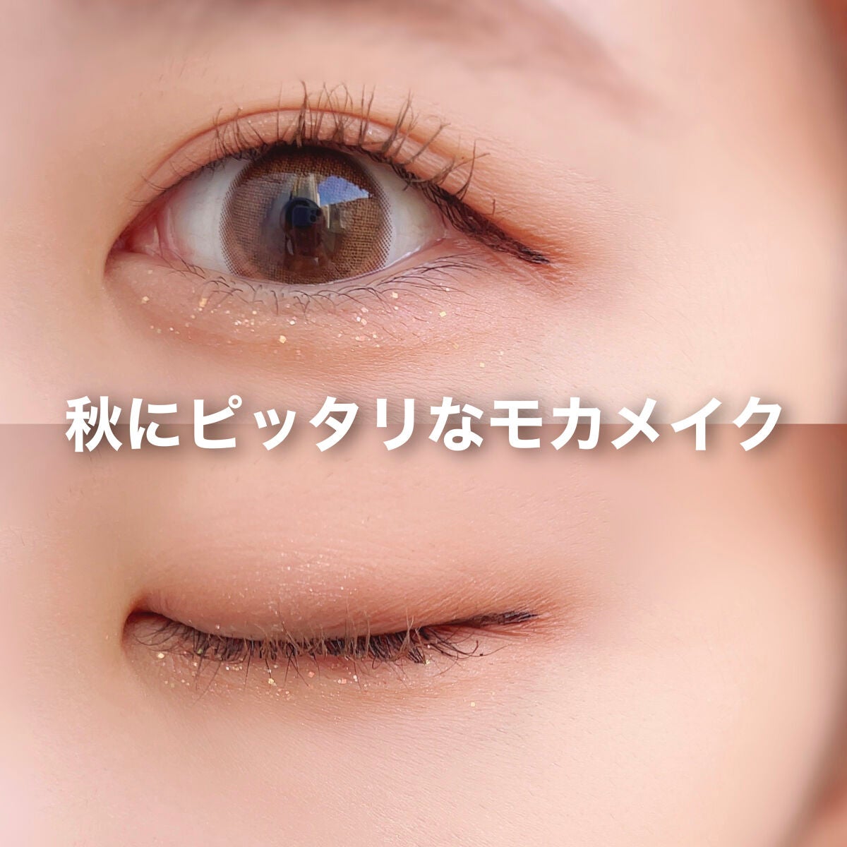 シルキースフレアイズ(マットタイプ)/キャンメイク/アイシャドウパレットを使ったクチコミ(4枚目)