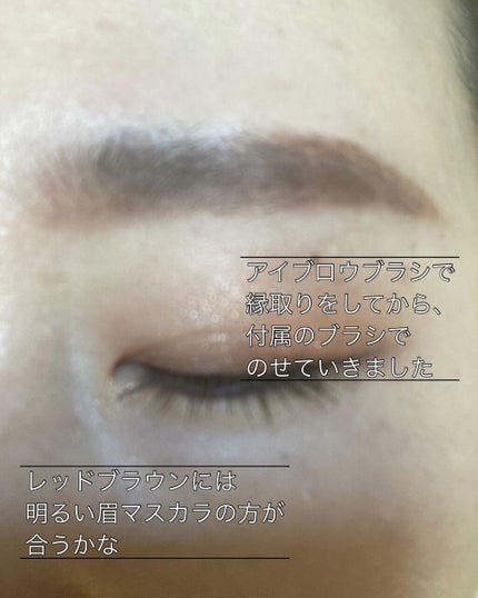 mayu on LIPS 「ケイトの3DアイブロウカラーNレッドブラウン系を購入しました。..」(5枚目)