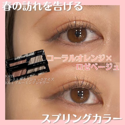 エレクトリックショックアイズ  EX-1 ブルーミングシャワー/KATE/アイシャドウパレットを使ったクチコミ(1枚目)