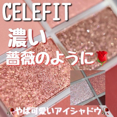 プロアイシャドウパレットセシル/CELEFIT/アイシャドウパレットを使ったクチコミ（1枚目）