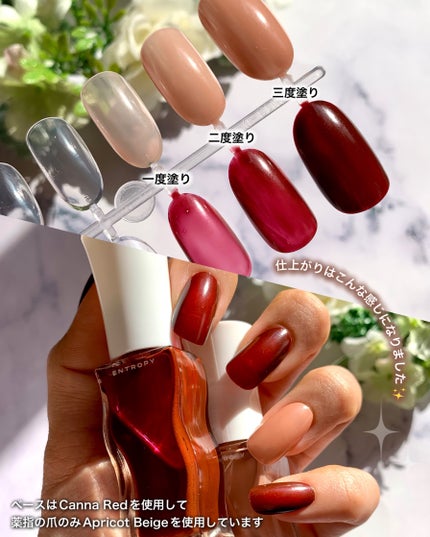 エントロピー ピールオフネイル カンナレッド/ENTROPY/マニキュアの画像