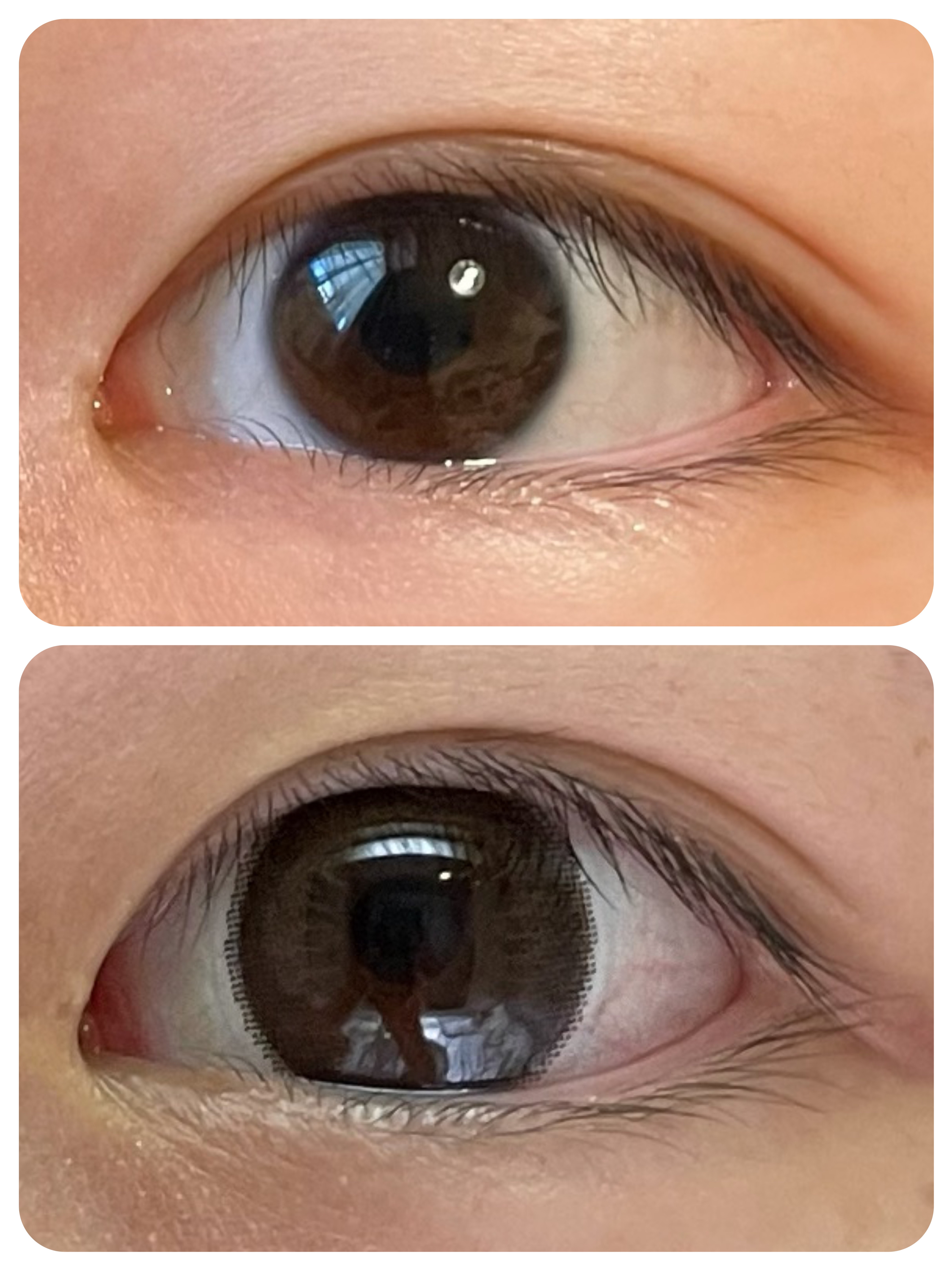 eye closet 1DAY ガウスショコラ/EYE CLOSET/ワンデー（１DAY）カラコンを使ったクチコミ（2枚目）