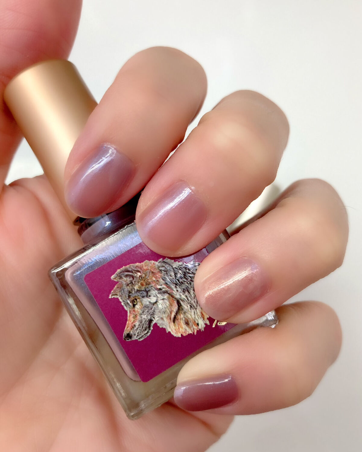 ネイルエス/ nail S(ネイルエス) /マニキュアを使ったクチコミ（2枚目）