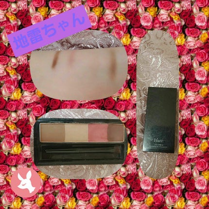 リシェ カラーリング アイブロウパウダー/Visée/パウダーアイブロウを使ったクチコミ(1枚目)