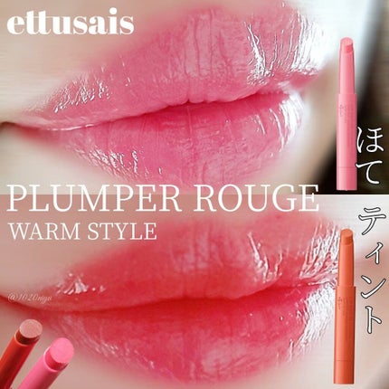 エテュセ リップエディション(プランパールージュ)ウォームスタイル/ettusais/口紅を使ったクチコミ(1枚目)