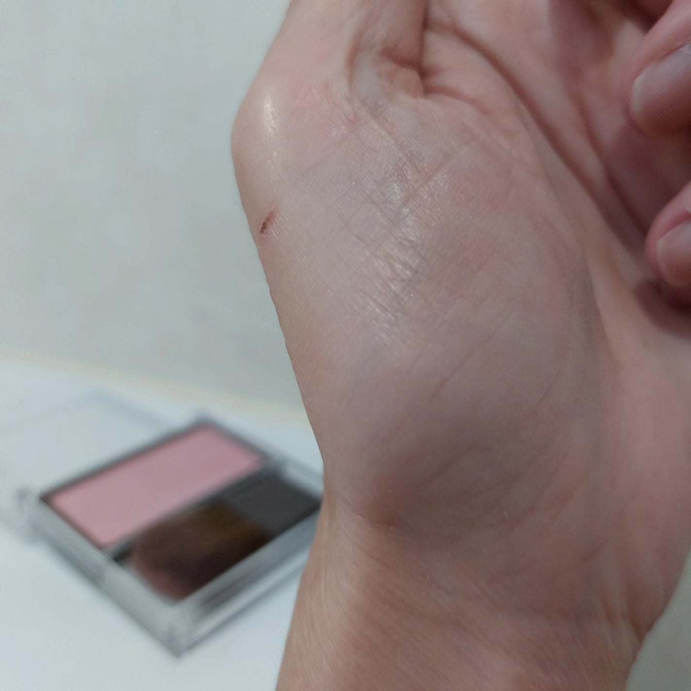 チークブラッシュ/CEZANNE/パウダーチークを使ったクチコミ(1枚目)