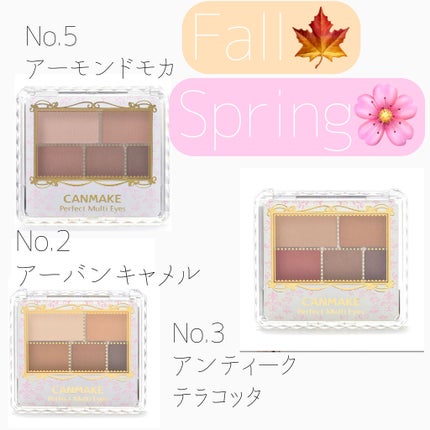 パーフェクトマルチアイズ/キャンメイク/アイシャドウパレットを使ったクチコミ(2枚目)