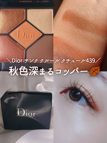 ディオールショウ サンク クルール/Dior/アイシャドウを使ったクチコミ（1枚目）