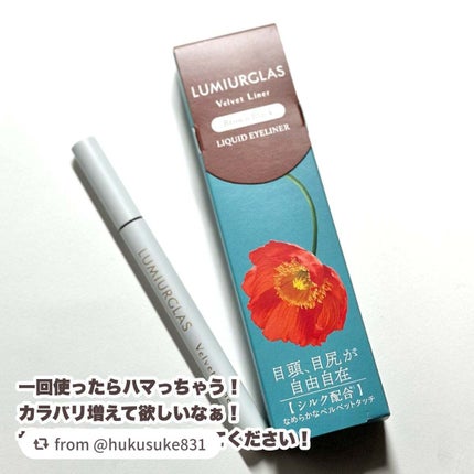 ベルベットライナー/LUMIURGLAS/リキッドアイライナーを使ったクチコミ(7枚目)