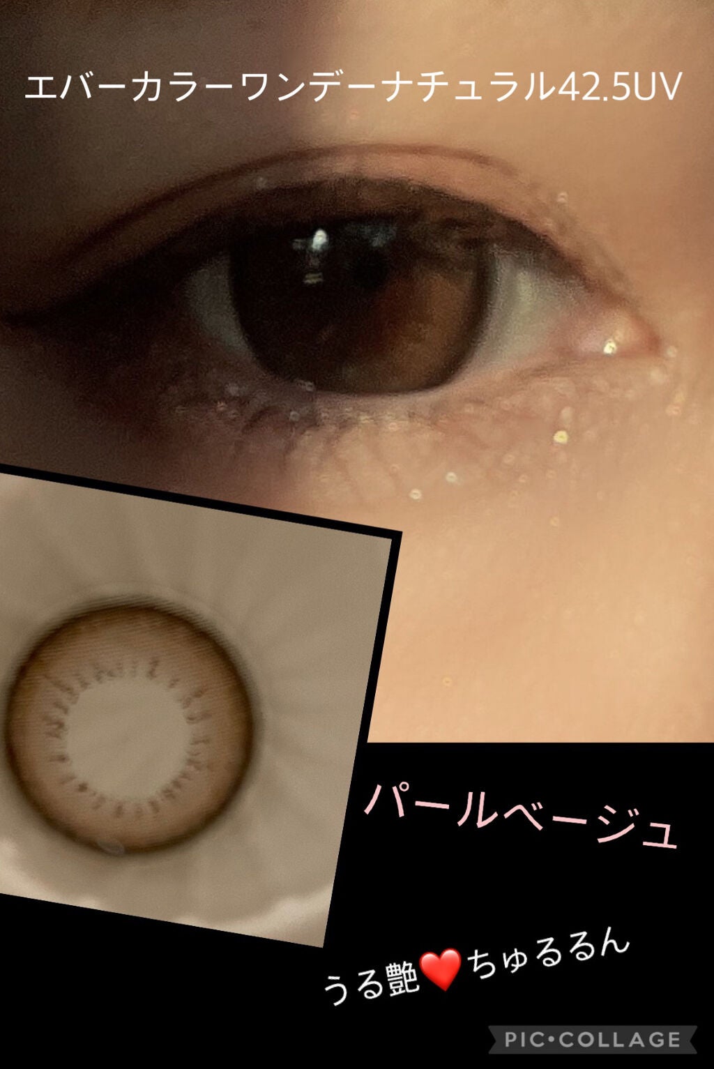 エバーカラーワンデー ナチュラル/エバーカラー/ワンデー(1DAY)カラコンを使ったクチコミ(1枚目)