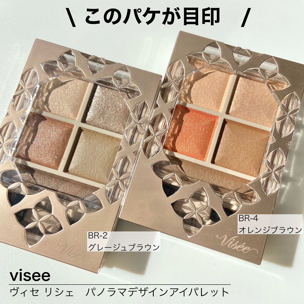 パノラマデザイン アイパレット/Visée/アイシャドウパレットを使ったクチコミ（2枚目）