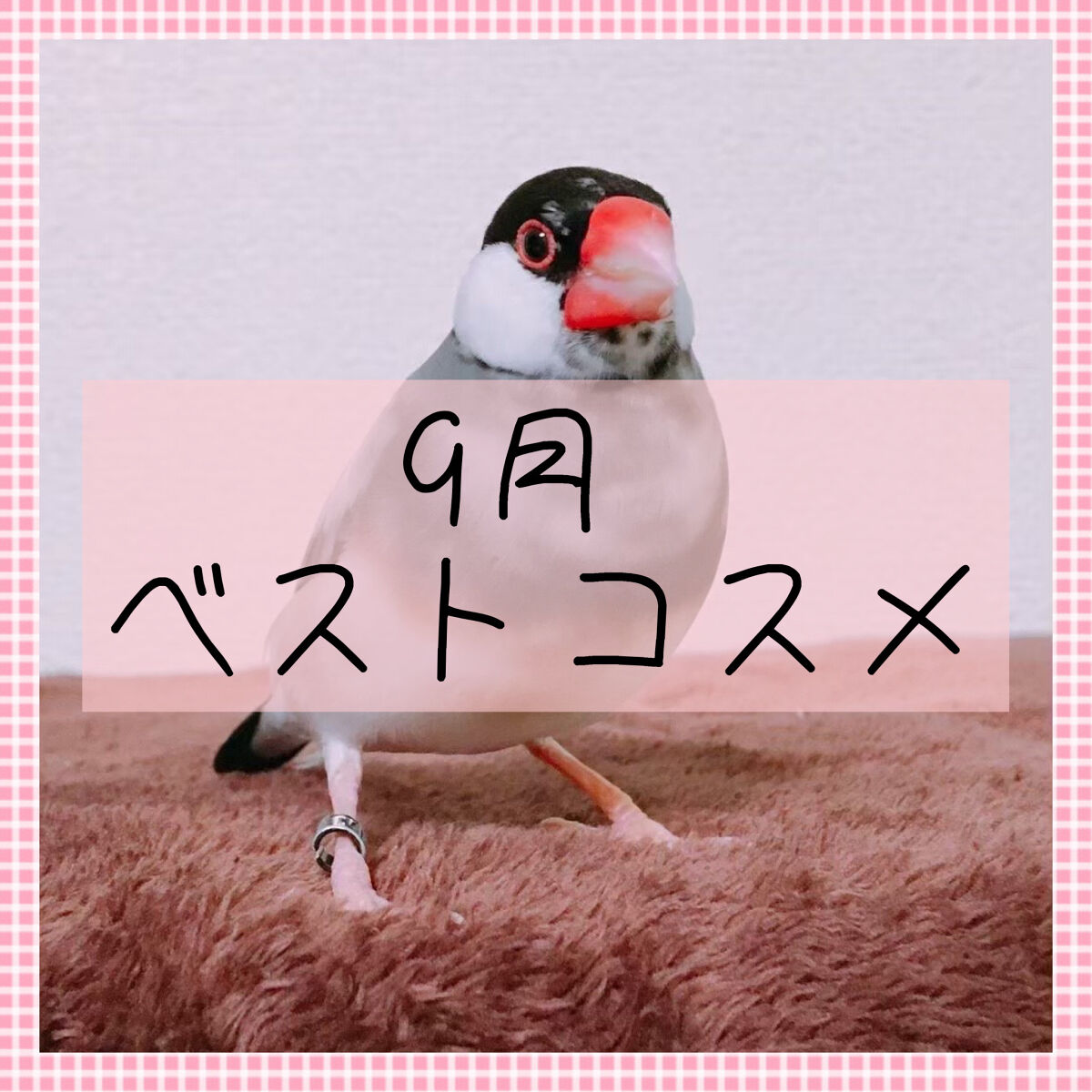 スムースマットリップティント 01 クラブアップル (ダークレッド)/GAB ME/リップティントを使ったクチコミ（1枚目）